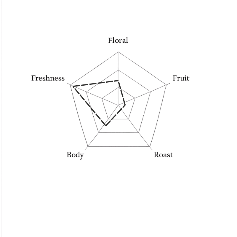 Spider web diagram with labels on a green background