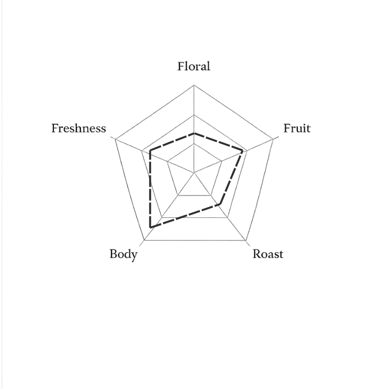 Spider web diagram with categories labeled on a green background