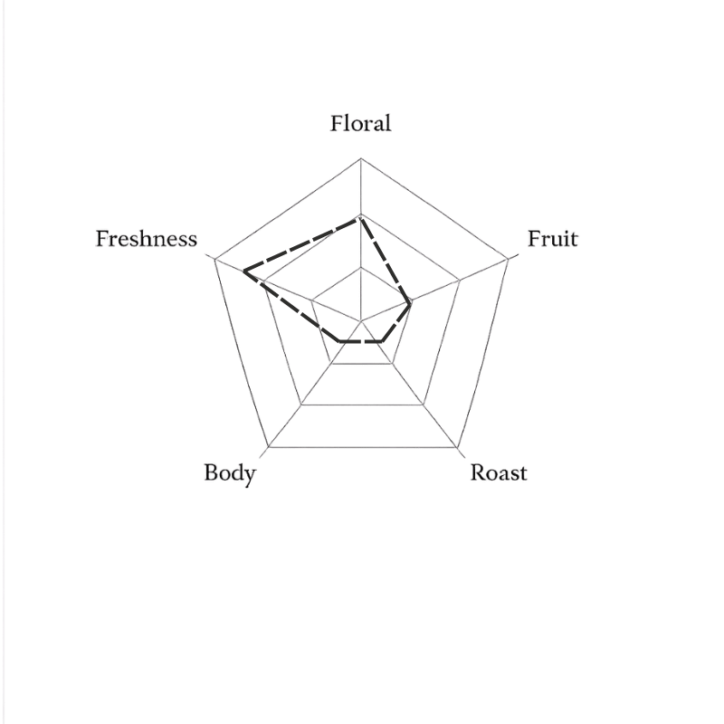 Spider web diagram with categories labeled on a green background