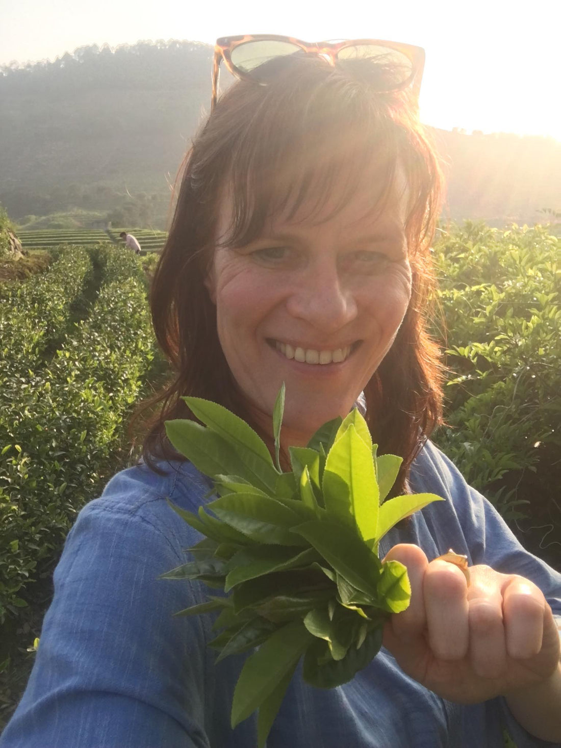 Tealosophy - Sofie Vercauteren