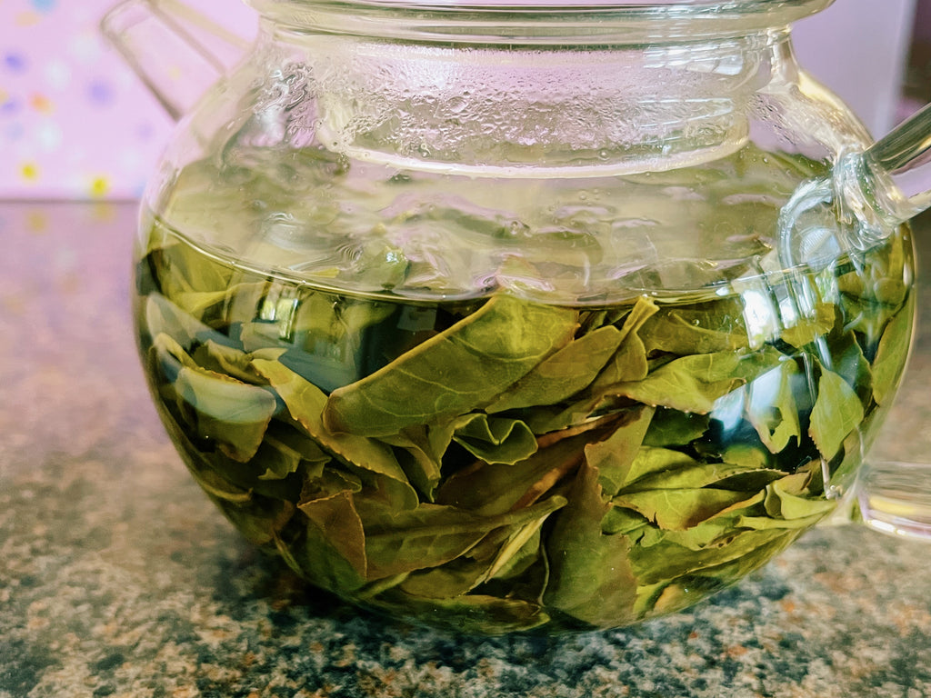 A glass teapot with unfurled Yumewakaba tea leaves