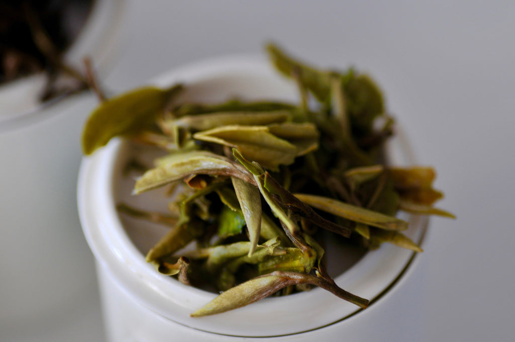 The Steepery Tea Co - Bai Mu Dan (White Peony)