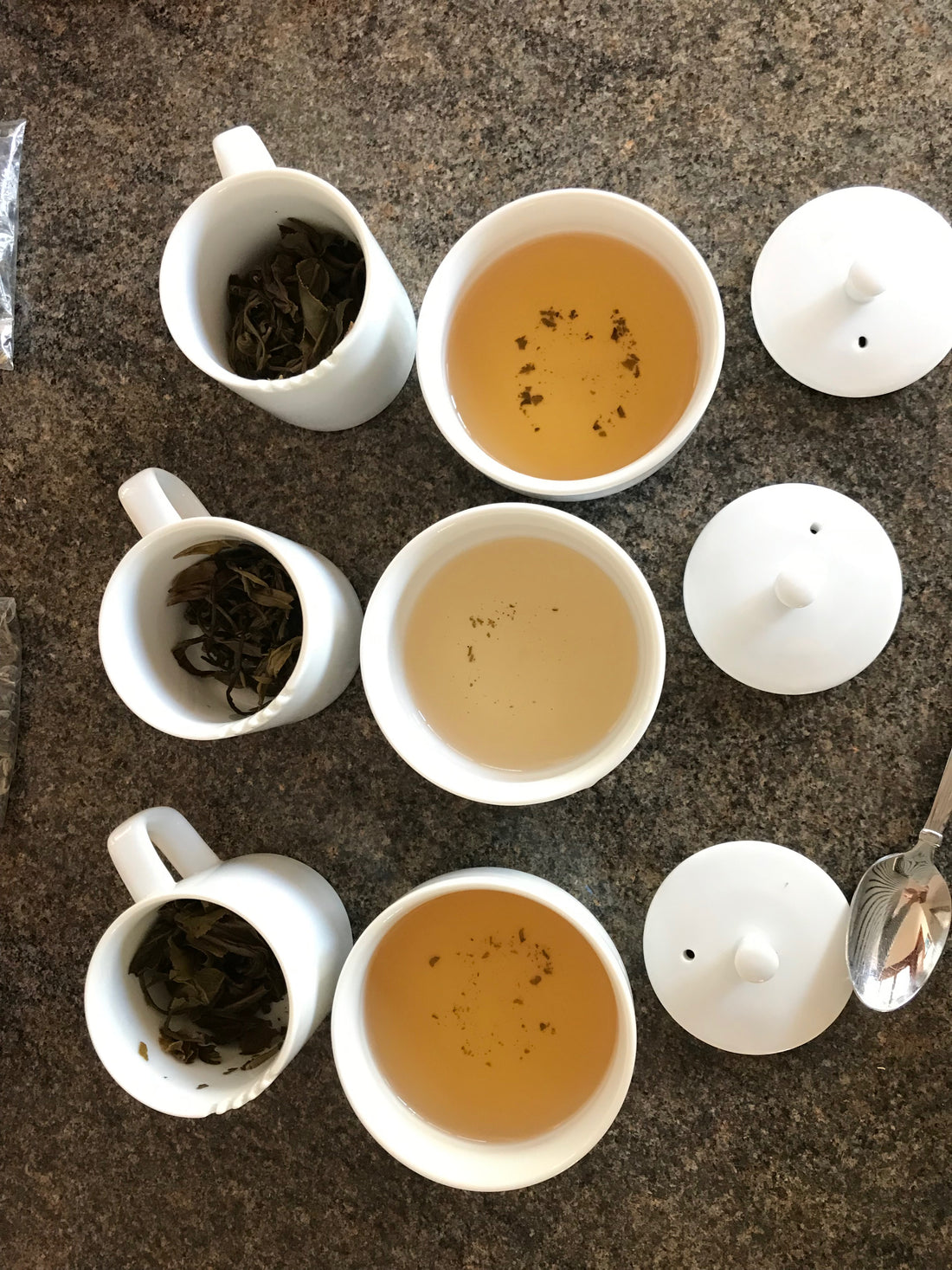 The Steepery Tea Co. - cupping Jasmine Dragon Pearls