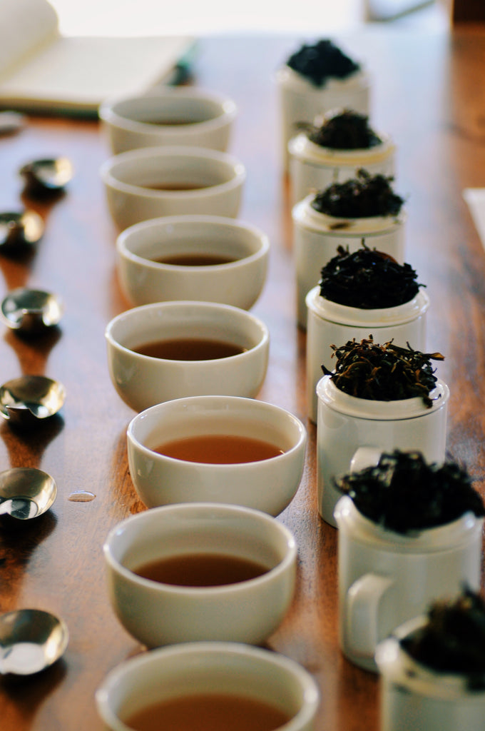 The Steepery Tea Co. - Cupping Line