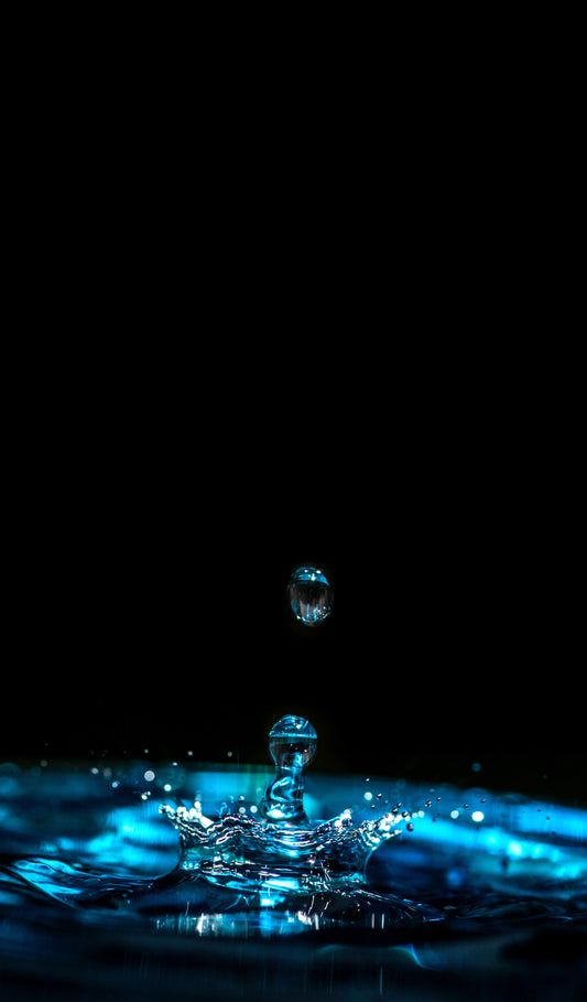 Let the (water for tea) journey begin! Entry #1