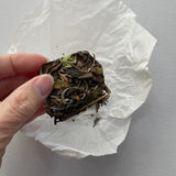 Winter white tea cake - dried leaf held in hand