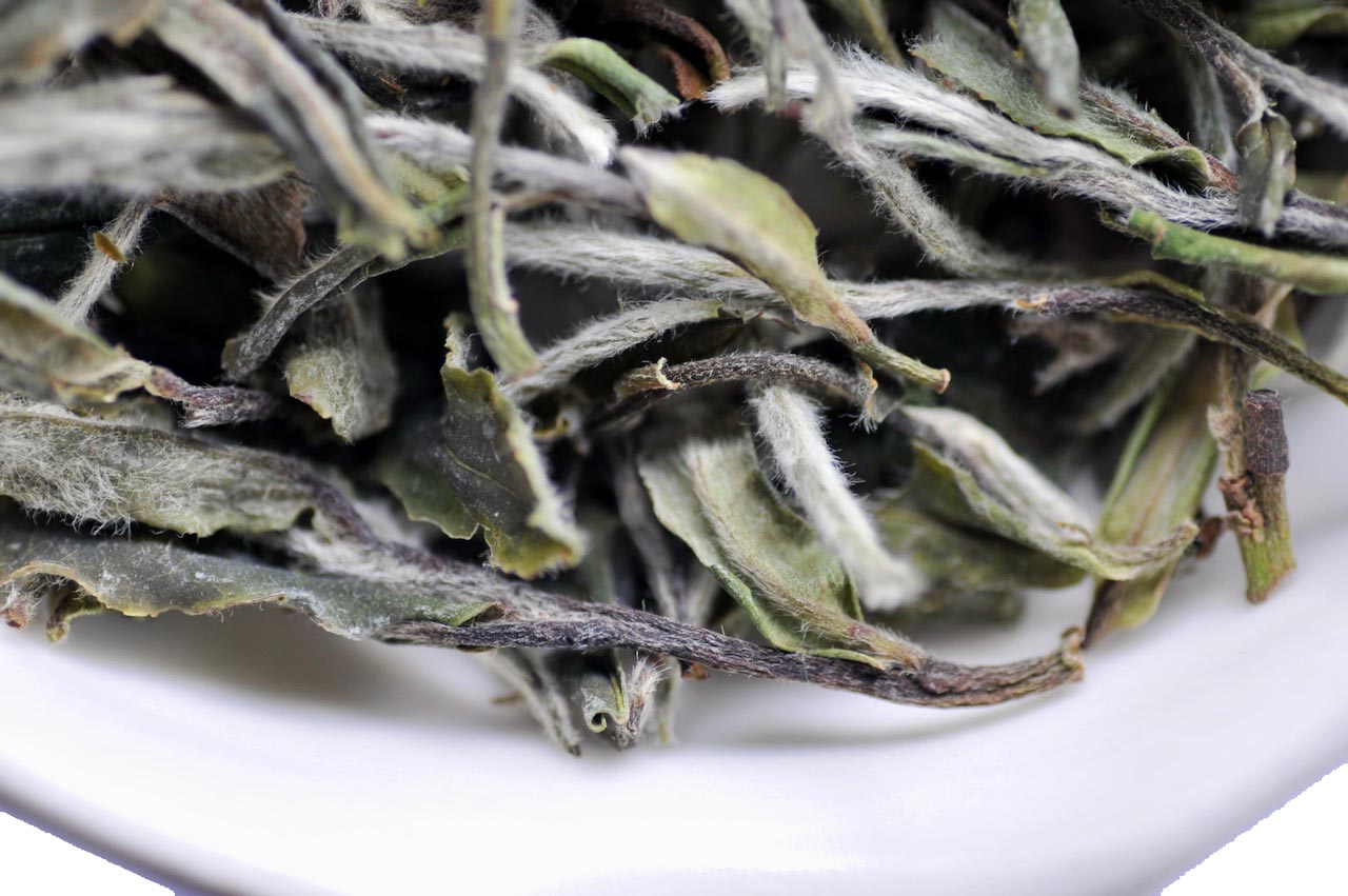 Close-up of dried tea leaves on a white surface