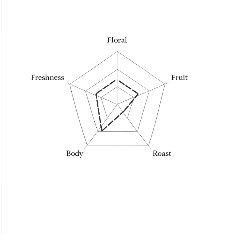 Spider web diagram with labels on a green background