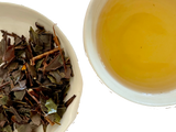 Hamacha White Tea wet leaf & liquor