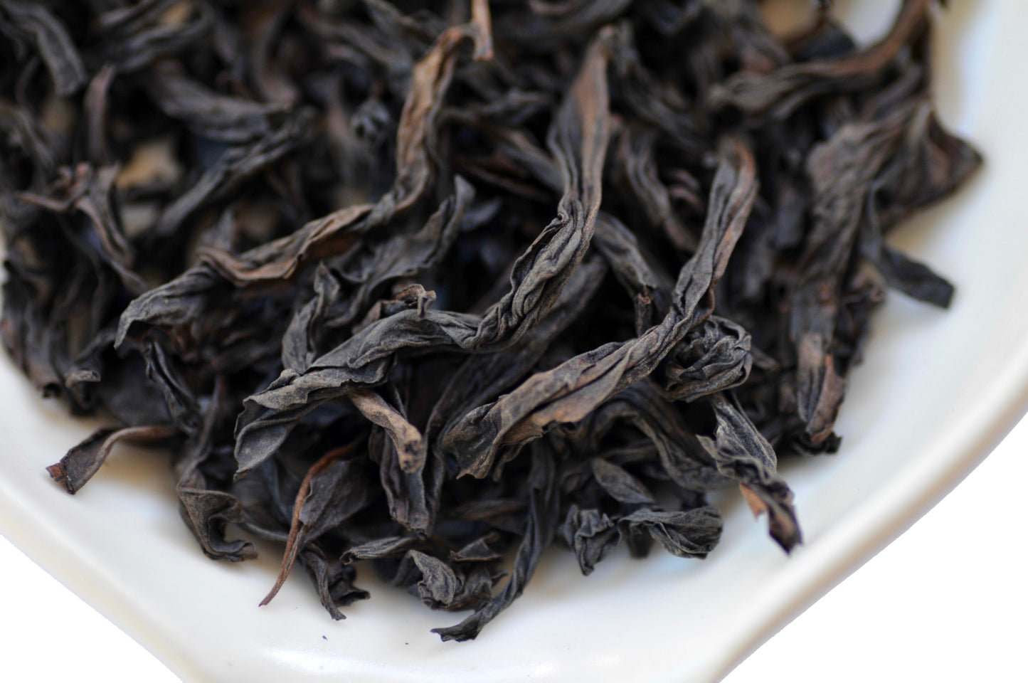 Close-up of black tea leaves on a white plate